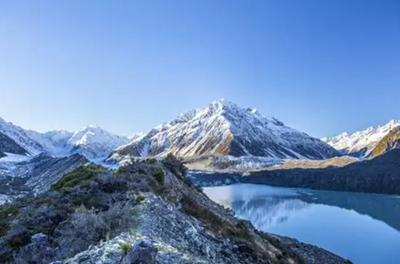 新西兰公司注册